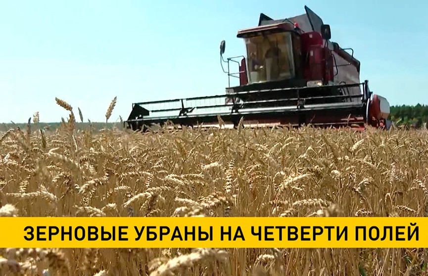 Аграрии убрали порядка ¼ полей в Брестской области