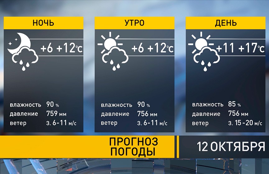 Тепло возвращается? Прогноз погоды на 12 октября