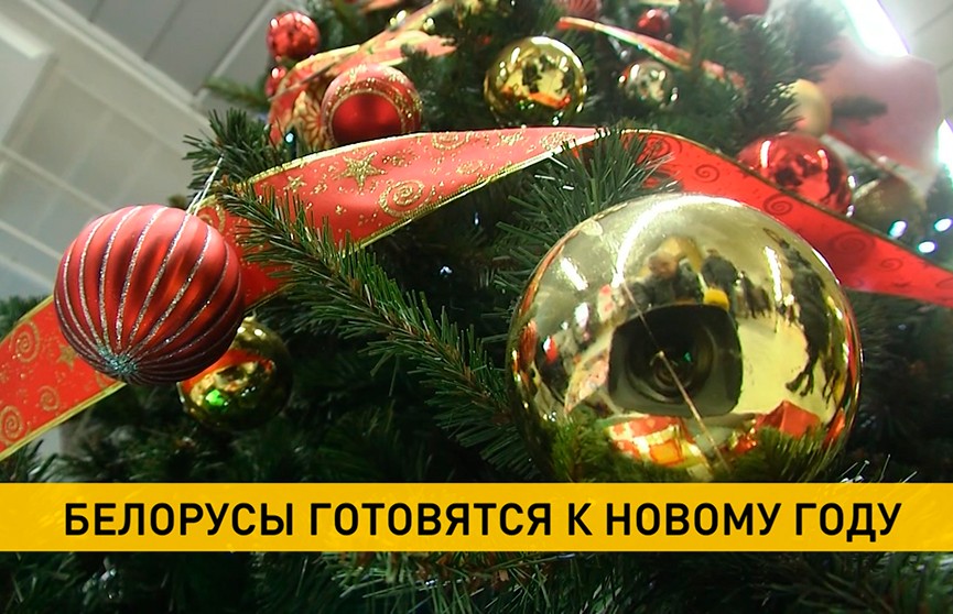 Города Беларуси продолжают подготовку к празднованию Нового года