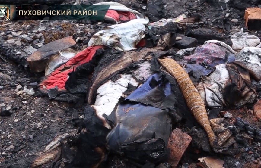 Трагедия в Пуховичском районе: на пожаре погибли бабушка и полуторагодовалый внук