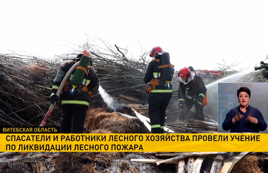 Спасатели и работники лесного хозяйства провели учение по ликвидации лесного пожара