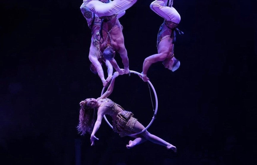 Гимнастка сорвалась с кольца под куполом цирка в Новосибирске