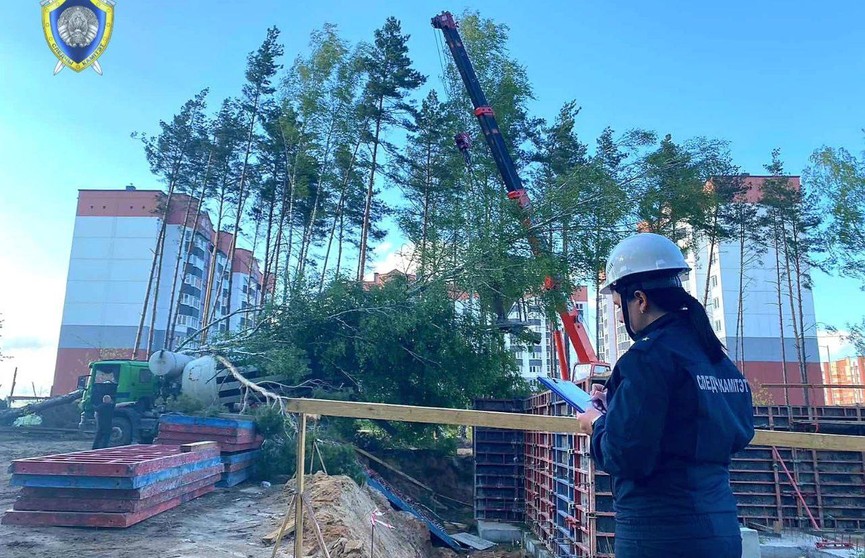 В Солигорске сильный ветер обвалил на машину с рабочими два дерева: погиб человек