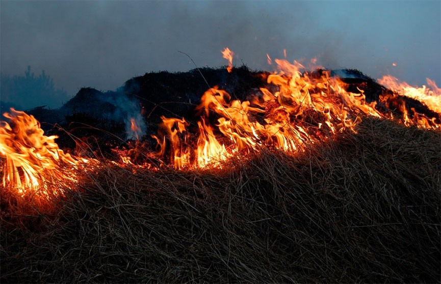 В Круглянском районе пожар уничтожил 70 тонн соломы