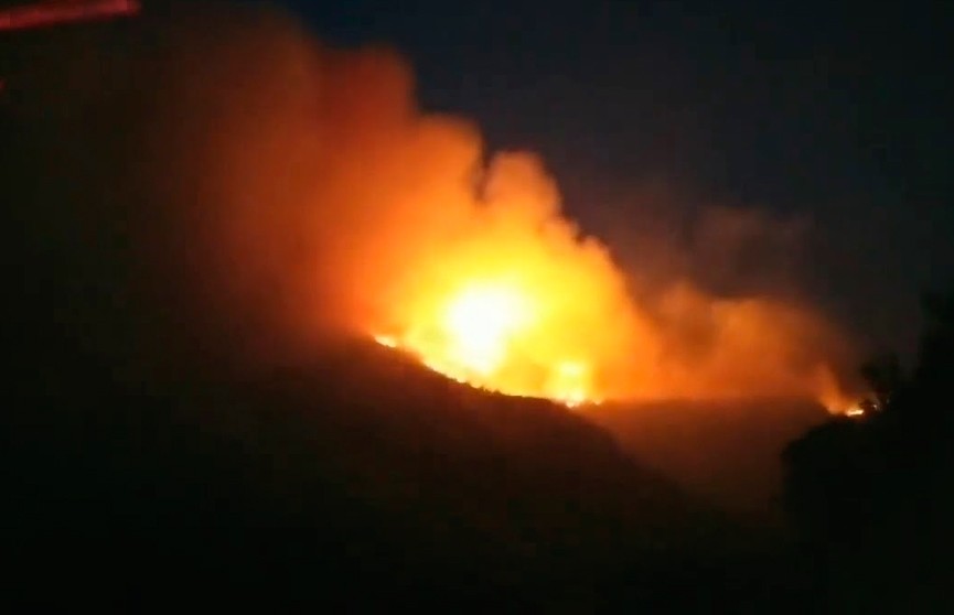 В Черногории борются с крупным лесным пожаром