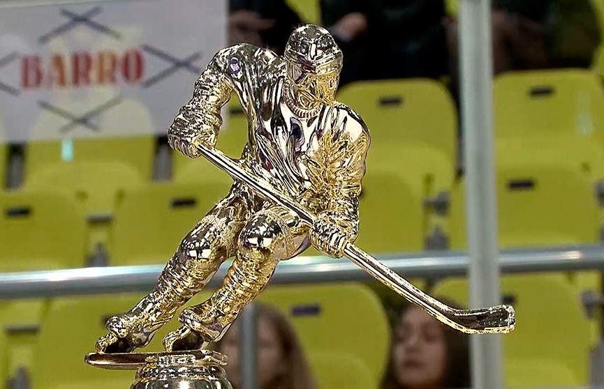 Команда «Алмаз» из Дятловского района стала победителем республиканских соревнований по хоккею «Золотая шайба»