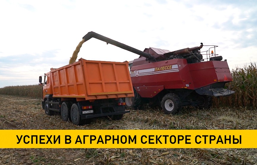 В Минсельхозпроде рассказали об успехах в аграрном секторе страны