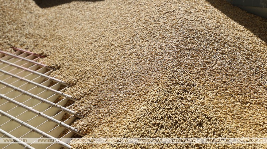 Песков: соглашения по вывозу украинского зерна можно назвать примером удачного ведения переговоров