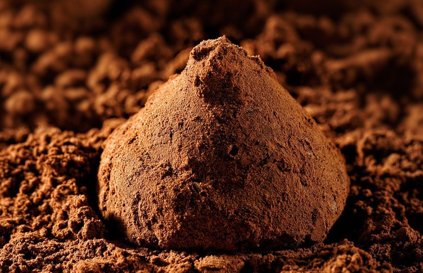 Цена на какао побила почти 50-летний рекорд