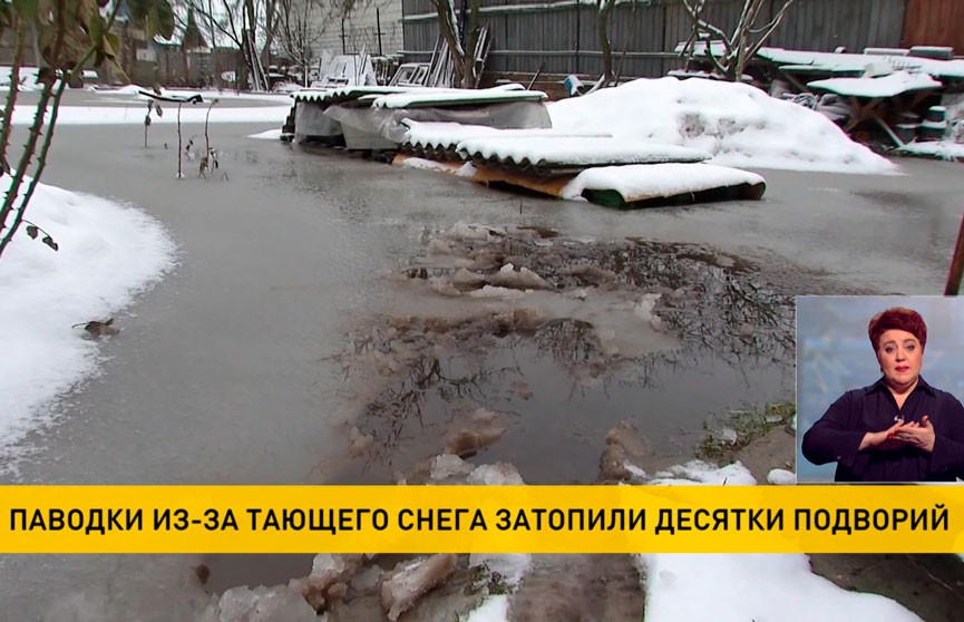 Паводки из-за тающего снега затопили десятки подворий Гомельской области