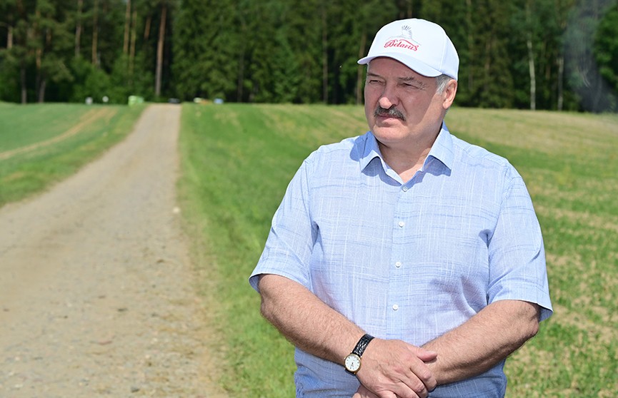 Лукашенко: Революция будет на селе, если в эту голодуху мы обеспечим продовольственную безопасность
