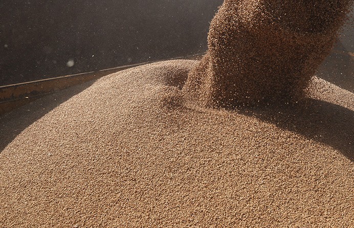 Почти 9,5 миллионов тонн зерна намолотили аграрии