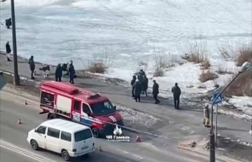 Гомельские спасатели помогли собаке выбраться из-подо льда
