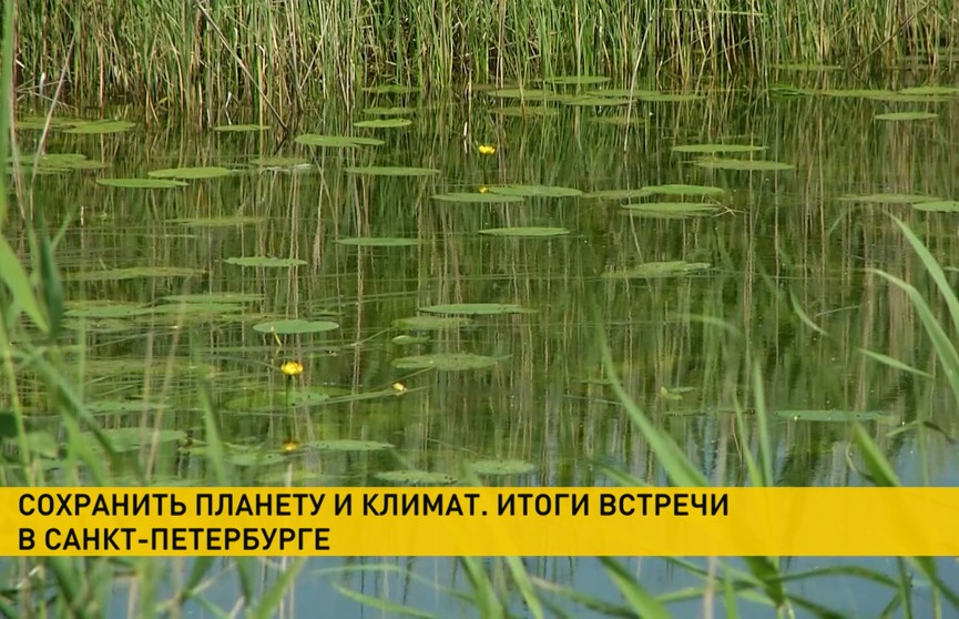 С каждым годом все теплее... Беларусь и Россия обсудили проблемы экологии и климата. Что будем делать?