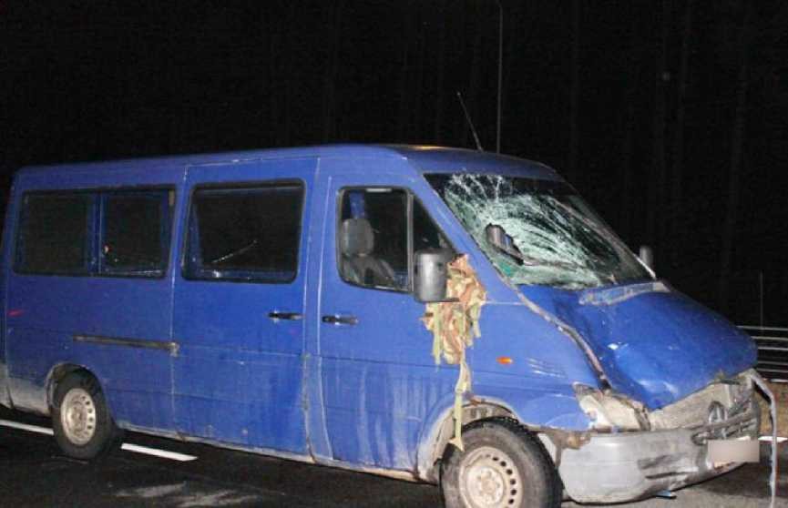 Микроавтобус насмерть сбил супружескую пару в Жлобинском районе