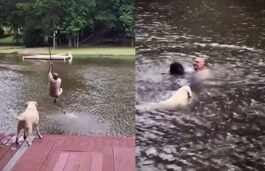 Проверка на верность: мужчина прыгнул на канате в воду, а его собаки тут же ринулись его спасать (ВИДЕО)