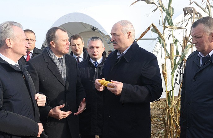 Уборка кукурузы, контроль за ценами, производство сыра. Подробности поездки Президента в Слуцкий район
