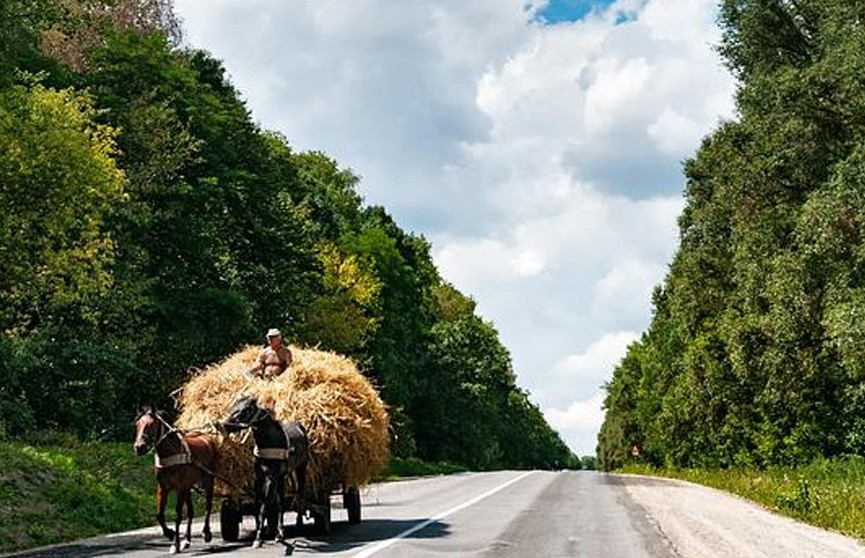 Навоз и сено разбросали по дорогам в Нидерландах в ходе протестов фермеры