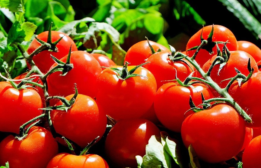 Как выбрать самые вкусные томаты: 3 простых способа