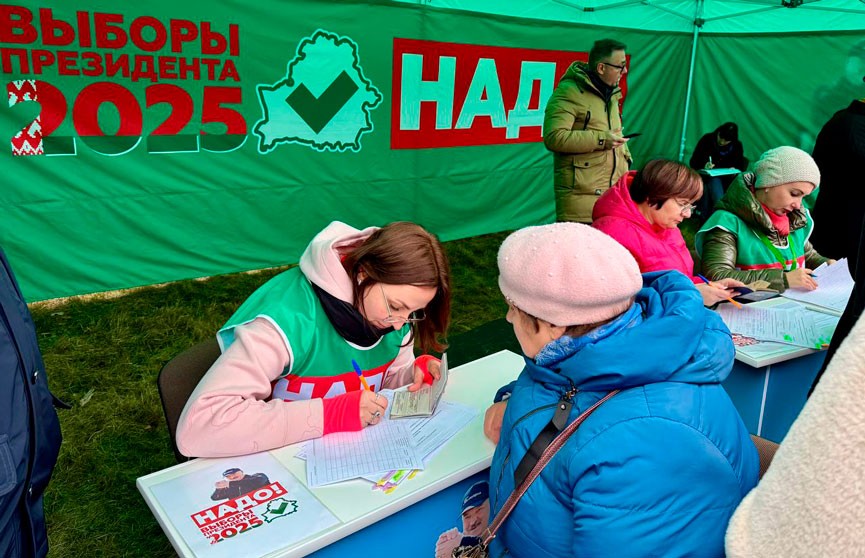 На чемпионате по колке дров проходит пикет по сбору подписей для выдвижения А. Лукашенко кандидатом в Президенты