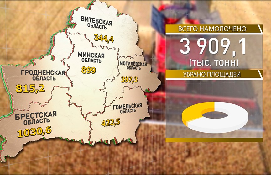 Брестские аграрии собрали 1 млн т зерна