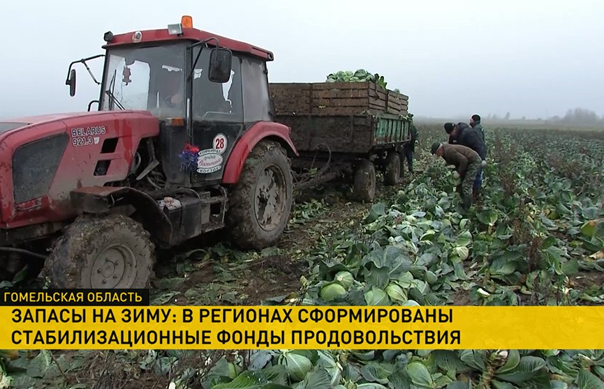 Запасы на зиму: стабилизационные фонды продовольствия созданы в регионах Беларуси