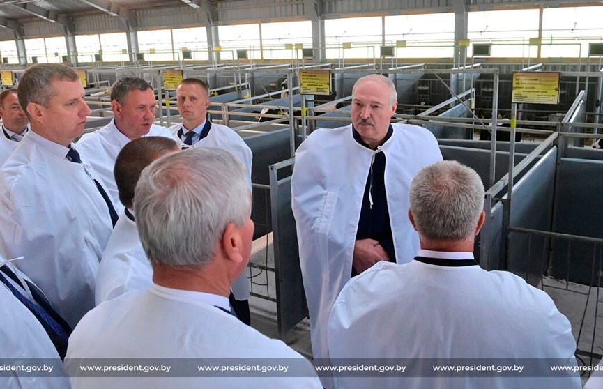 Лукашенко о возвращении «беглых» в Беларусь: Я не против – кто в тюрьму, кто куда – кто что заслужил