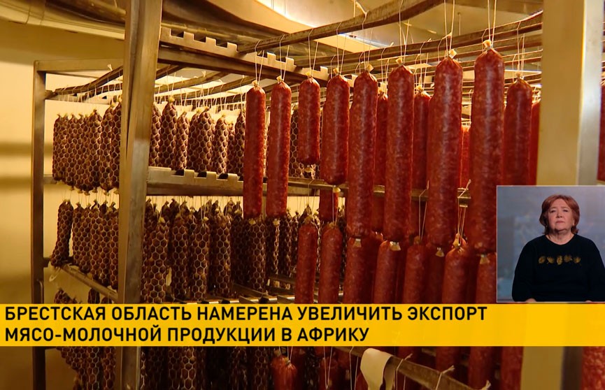 Брестская область намерена увеличить экспорт мясомолочной продукции в Африку