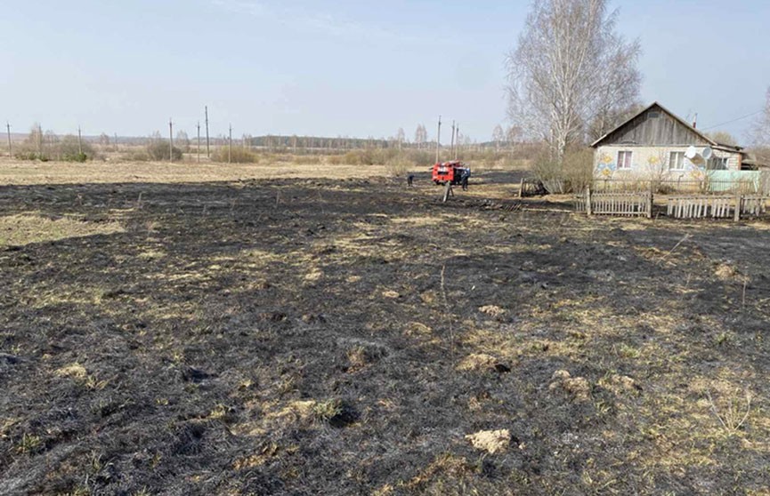 В Дрибинском районе скончалась пенсионерка, получившая ожоги при сжигании сухой травы
