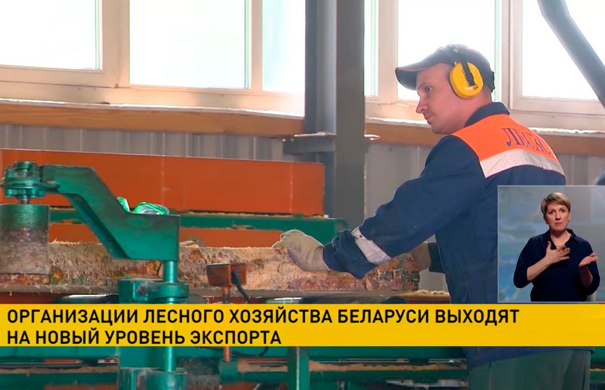 Экспорт белорусских пиломатериалов в феврале достиг рекордного уровня