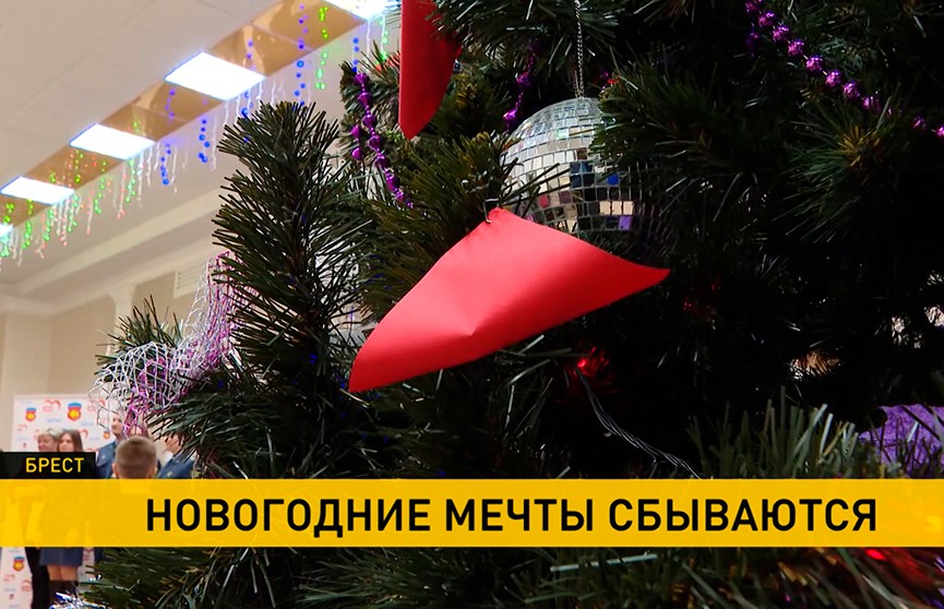 «Елка желаний»: по всей Беларуси продолжается сбор подарков для воспитанников интернатов и детдомов