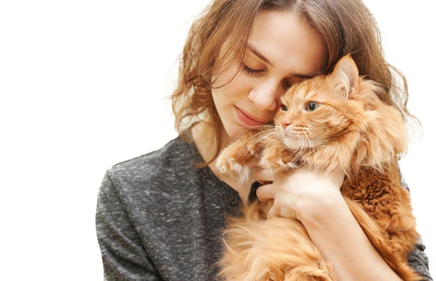 Почему кошки любят женщин больше, чем мужчин?
