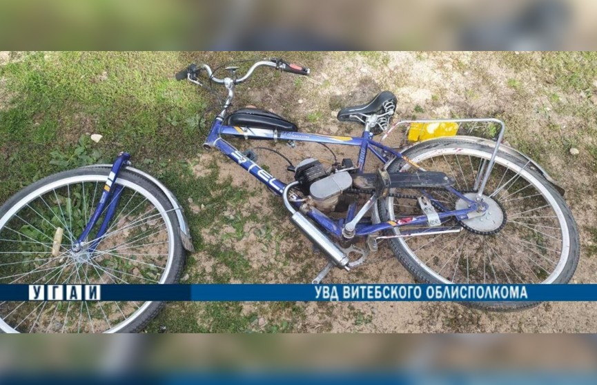 Женщина на велосипеде сбила лося в Чашникском районе