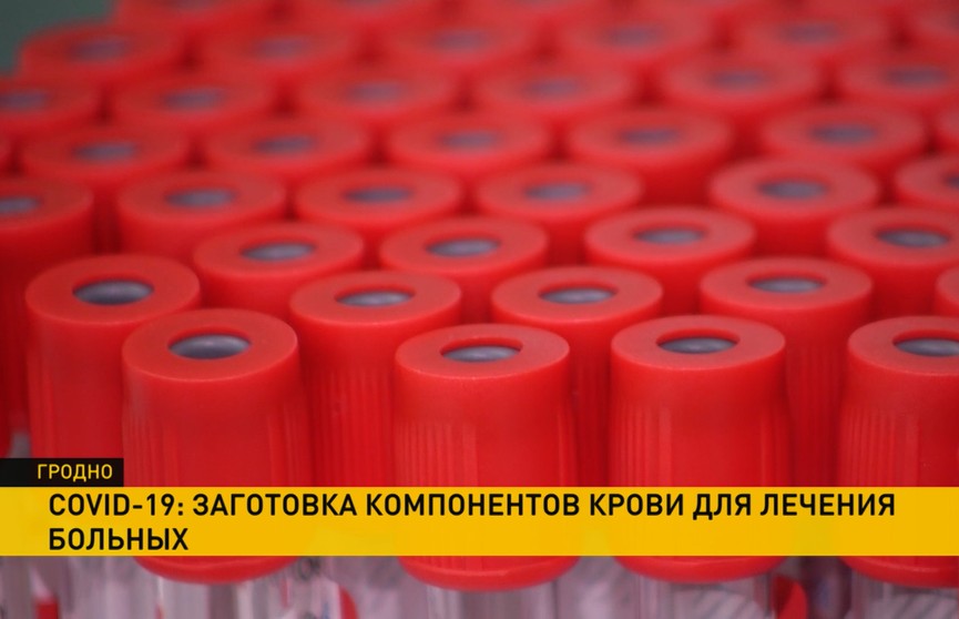 Для больниц Гродненской области собрали около 120 литров антиковидной плазмы за полгода