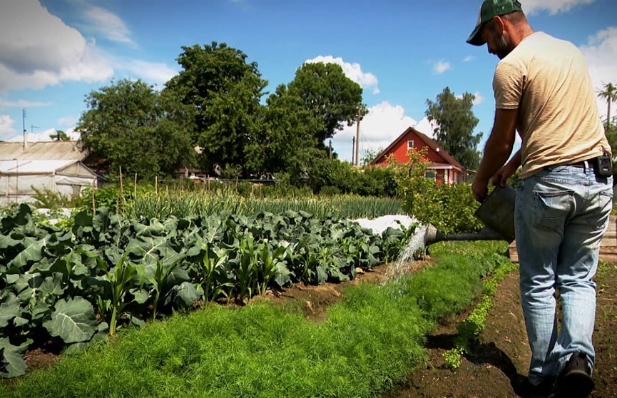 Как правильно поливать огород, а не просто лить на него воду? Ответ в рубрике «Метеогрядки»