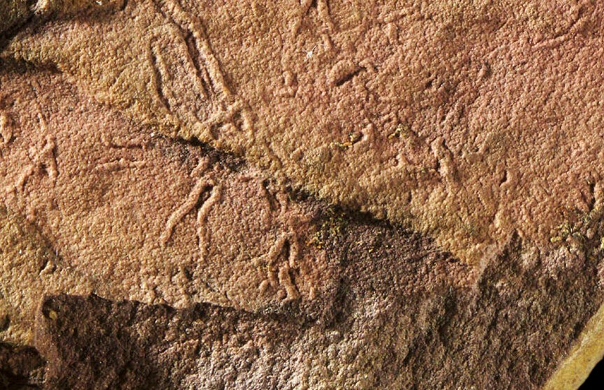 Древнейшая форма жизни на Земле найдена в Австралии
