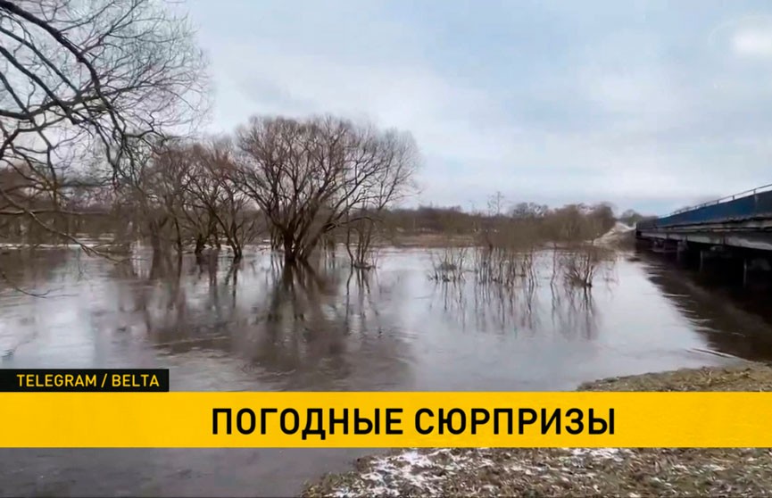 В Могилевской области из-за резкого потепления подтоплены участки дорог