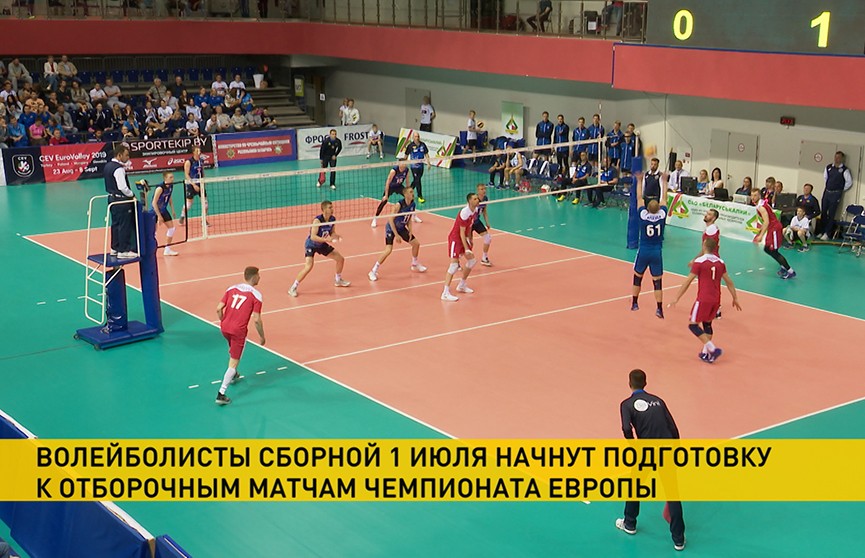 Волейболисты сборной Беларуси 1 июля начнут подготовку к отборочным матчам чемпионата Европы