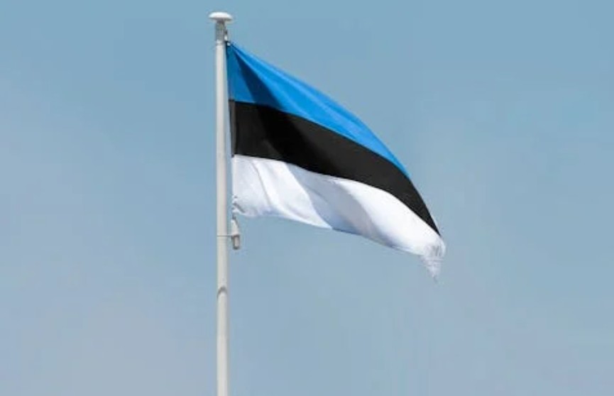 В парламенте Эстонии не исключили, что военных НАТО отправят на Украину