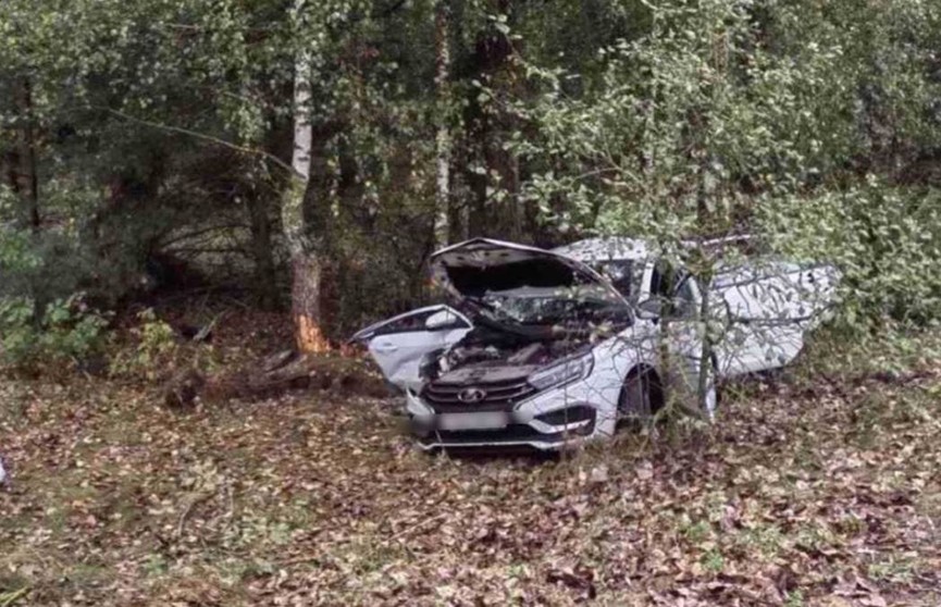 Под Малоритой Lada врезалась в дерево – погиб пассажир