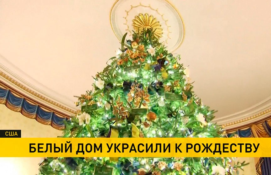 5-метровая ель и цветы ручной работы: Белый дом украсили к Рождеству