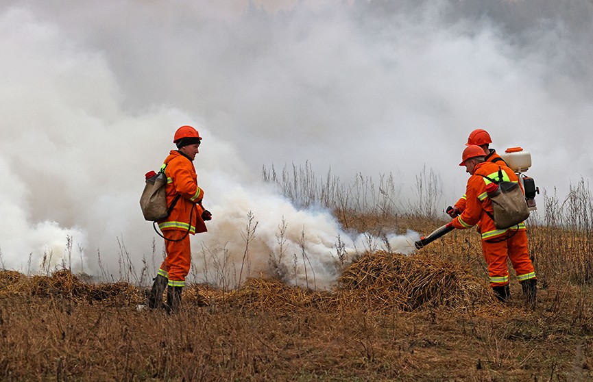 Авиация и даже «пожарный» танк. Как МЧС Беларуси готовится к сезону лесных пожаров (ВИДЕО)