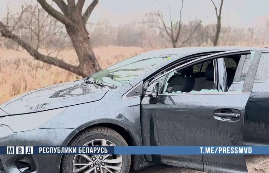 Подозреваемого в экстремизме задерживали со стрельбой в Бресте