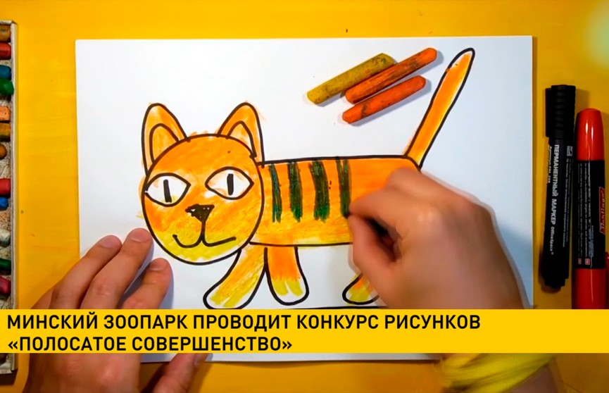 Минский зоопарк проводит конкурс рисунков «Полосатое совершенство»