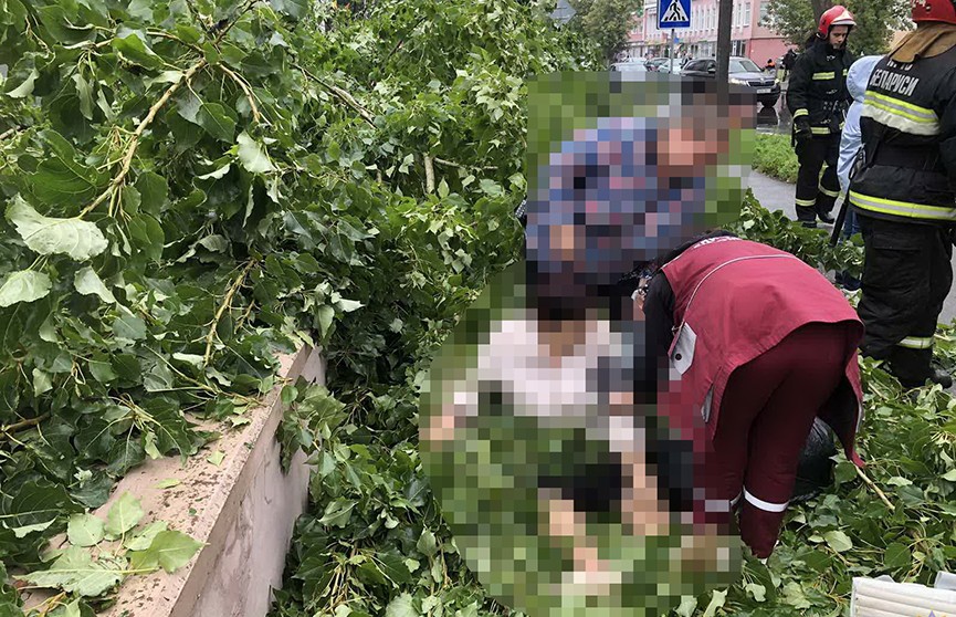 В Бобруйске в результате падения дерева пострадала женщина