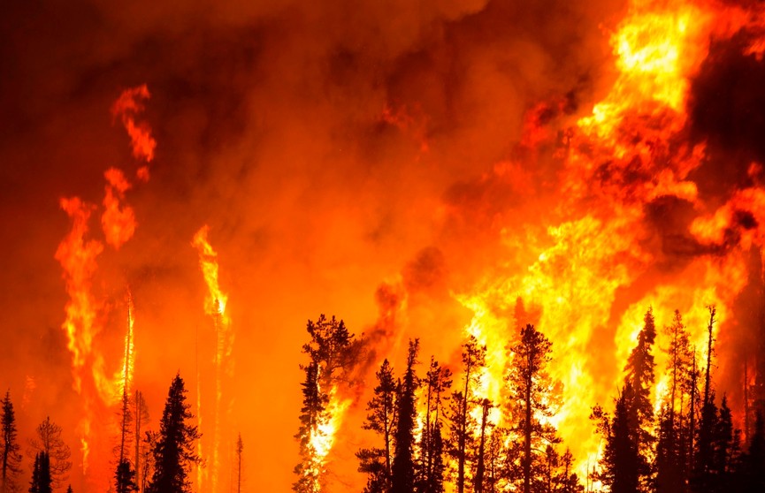 600 спасателей сражаются с лесными пожарами на севере Калифорнии