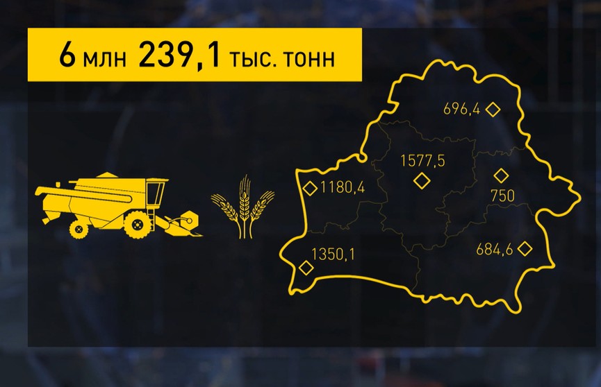 Уборочная-2022: собрано почти 6 млн 250 тысяч тонн зерна, средняя урожайность – 37,5 центнеров с гектара