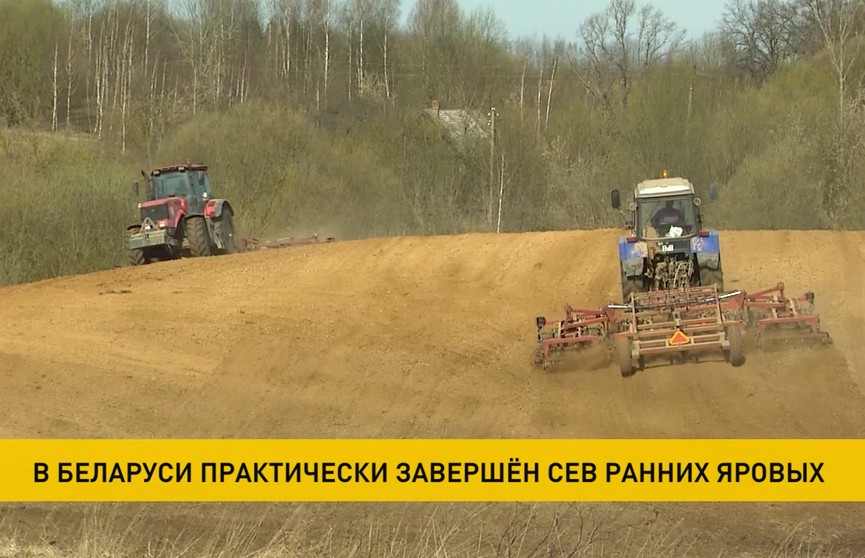 Сев ранних яровых практически завершен по всей Беларуси