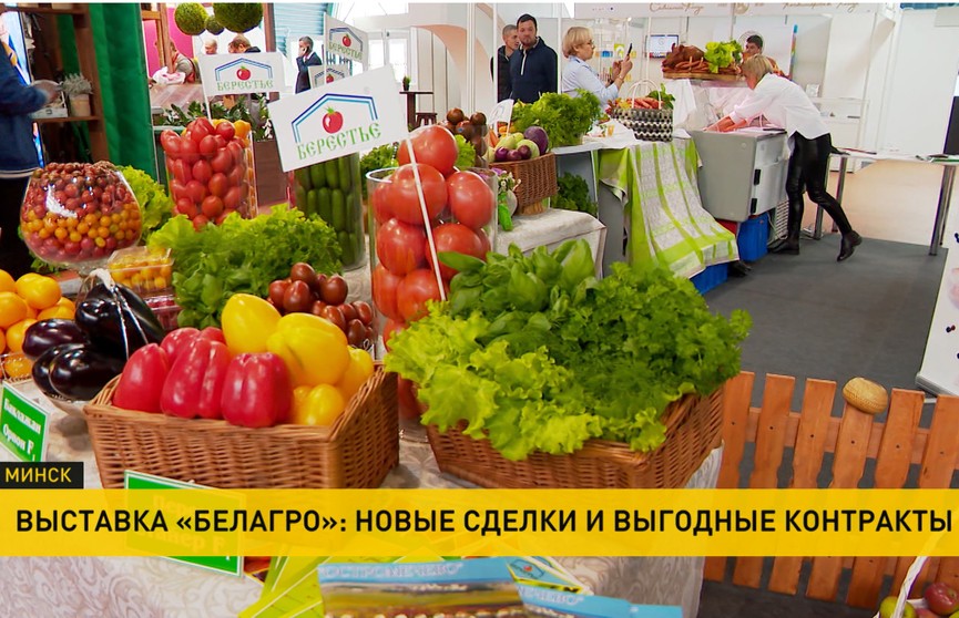Экспорт белорусской сельхозпродукции в Китай увеличился почти на 90%