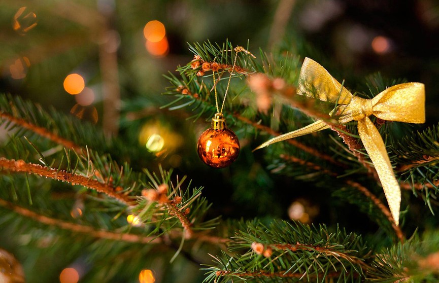 Почему новогоднюю елку нельзя долго держать в доме, рассказал эксперт